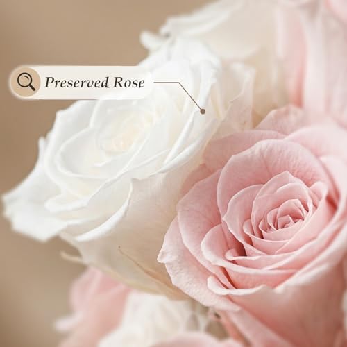 17" Dried Flower Bouquets with Vase Included, 100% Natural Dried Flowers with Forever Pink Roses,Bunny Tails,Eucalyptus Rustic Boho Decor for Home,Party Fall Decor - color: Pink Rose With Vase