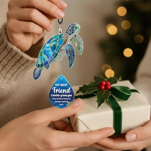 Mini Funny Turtle Best Friend Friendship Gifts for Women Men - Christmas Birthday Gifts Ideas for Friends Female Male - Positive Friendship Gift for Best Friend Birthday Valentines Day or Christmas - color: 11 - Friend Turtle
