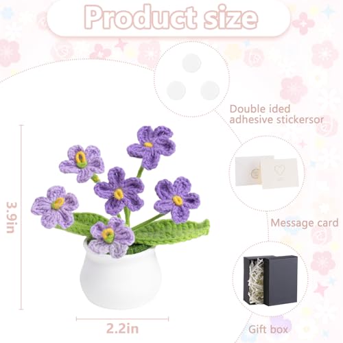 LAIDANLA Purple Crochet Forget Me Not Gifts, Mini Handmade Potted Flower | Birthday Graduation Anniversary Thinking of You Gifts for Women Teacher Mom Friend, Crochet Flowers Potted Plant for Desk - color: Ombre Purple
