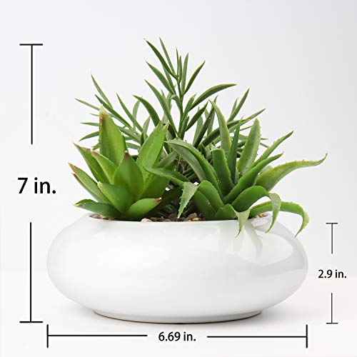 Hollyone Large Artificial Succulents Plants Faux Succulents in Pots Fake Succulent Plastic Potted Plants with White Ceramic Pot for Home Decor Office Desk Bathroom Shelf Living Room Decoration - color: 1pack - White Ceramic