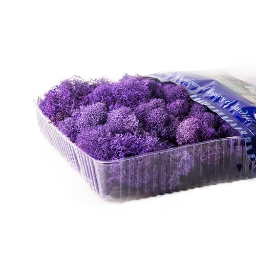SuperMoss (25124) Reindeer Moss Preserved, Appx. 2oz, Purple - color: Purple, size: 80.75 cubic inch (in3) Bag (Appx. 2oz)