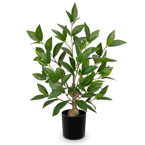 Briful Fake Plants 19.6'' Tall Artificial Plants Indoor Decor, Faux Bay Laurel Plants in Black Pot, Floor Plant Houseplant for Home Farmhouse Outdoor Patio Porch Decorations - color: 19.6'' Tall-green