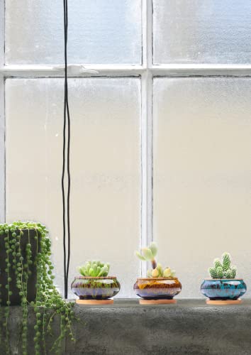 Cute Ceramic Succulent Garden Pots, Planter with Drainage and Attached Saucer, Set of 5 -Plants Not Included (Burner) - color: Burner