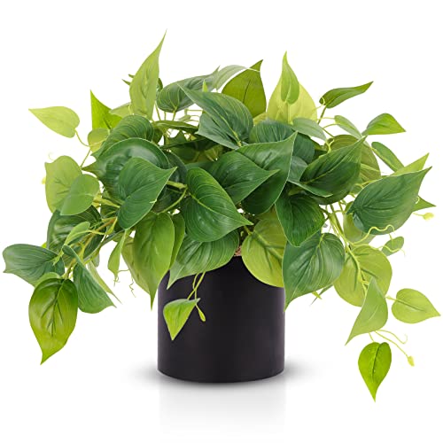 JPSOR Artificial Indoor Plants for Home Decor, 12 inches Pothos in Black Ceramic Pot with Iron Wire, 1 Count - color: B-black Ceramic Pot