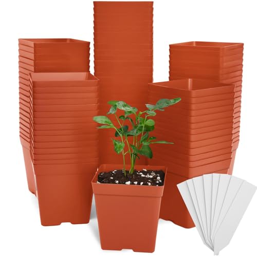 June Fox 100 Pack Red Square Nursery Pots with Drainage Holes 3.3 Inches Flexible Plastic Seedling Pots Square Pots for Plants, Succulent, Flower, with Plant Labels - color: Red