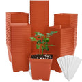 June Fox 100 Pack Red Square Nursery Pots with Drainage Holes 3.3 Inches Flexible Plastic Seedling Pots Square Pots for Plants, Succulent, Flower, with Plant Labels - color: Red
