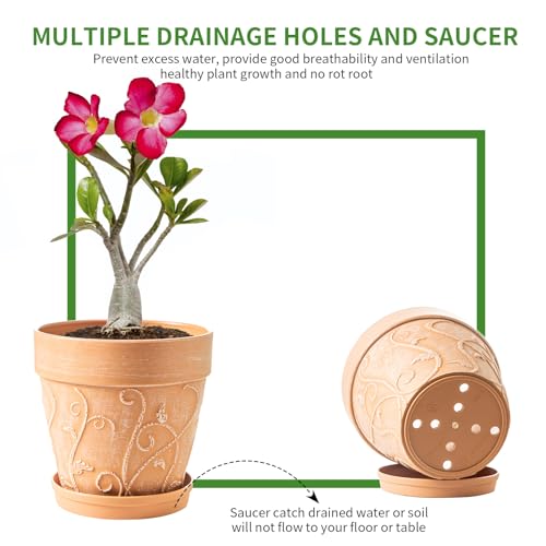 Melphoe Plant Pots Indoor with Drainage & Saucer, 2Pack 8 inch Flower Pots Outdoor Planters for Indoor Plants Garden Home Decor Cactus Succulent, Rigid Plastic (Imitation-Terracotta) Vine-Embossed - color: Terracotta Color, size: 8''