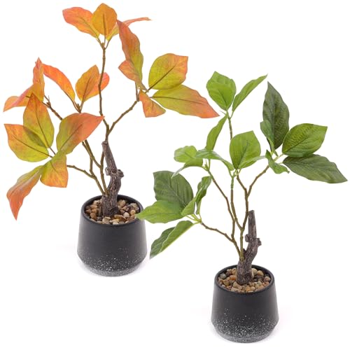 Gresorth 2 Pack 11.8 Inch Artificial Bonsai Potted Plants Fake Plants with Pebbles Realistic Greenery Potted Decor for Indoor Office Decoration Garden Landscapes - color: C - 2 Colors