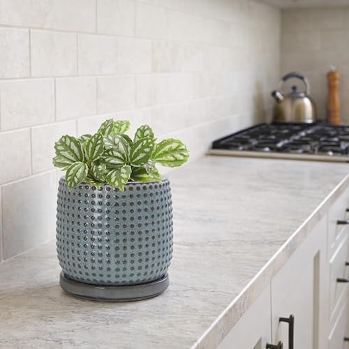 D'vine Dev 4 Inch Ceramic Beaded Stoneware Planter Pot - Flower Pot with Drainage Holes and Saucers for Indoor Succulent Plants or Flowers, Graphite Blue, 27-C-Z-9 - color: Graphite Blue, size: 4.3 Inch