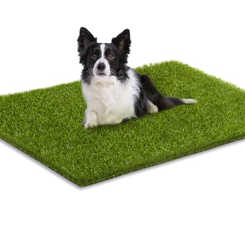 CooRug Fake Grass, 36 x 24 Inches Artificial Grass for Dogs, Realistic Turf for Indoor Outdoor Door Mat Balcony Patio Lawn Decoration - size: 36" x 24"