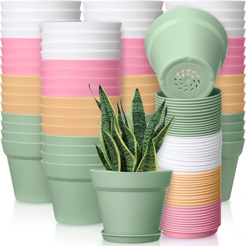 Mumufy 54 Pack 4 Inch Plant Pots Bulk Small Planter with Drainage Hole and Saucer Small Plastic Pots for Flowers Succulent Cactus and All House Indoor(Colorful) - color: Colorful