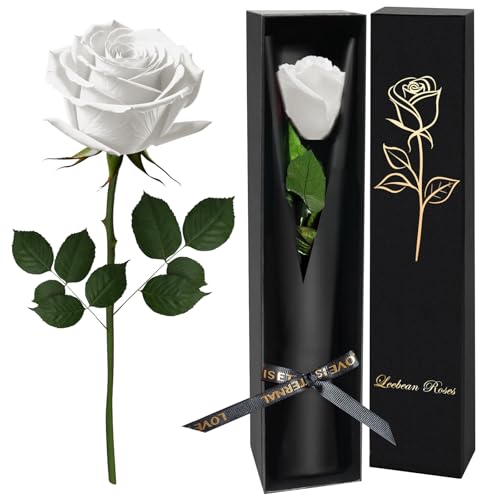 White Single Forever Roses Luxury Gift for Women/Men, Fresh Flowers Bouquet for Girlfriend, Wife, Mom, Anniversary, Valentine's Day, Wedding, Graduation, Christmas, Birthday, Unique Presents for Her - color: White