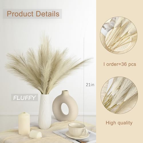 U-LIAN 36PCS Faux Pampas Grass 21.7 Inch, Small Artificial Pampas Grass Decor for Vase, Fake Fluffy Floral, Artificial Dried Flowers, Dry Plant Home Wedding Boho Decor (Beige & Brown) - color: Beige&brown Gradient, size: 22"-36 PCS