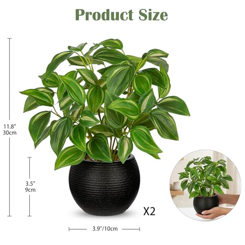 2 Packs Artificial Plants in Black Pot, 12" Faux Plant | Realistic Tradescantia Zebrina Fake Plants Potted Decorative for Home Kitchen Office Desk Bookshelf Decor - color: Pale-green