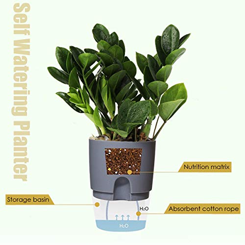 Vanavazon 6 Inch Self Watering Planter Pots for Indoor Plants, 3 Pack African Violet Pots with Wick Rope-Grey - color: Gray