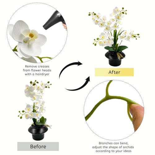 Daily Treasures 24 Heads Artificial Orchid Plant with Black Ceramic Pot, 3D Printed Silk White Faux Orchid Flowers with Buds, Lifelike Butterfly Orchid with Leaves for Modern Home Office Decor