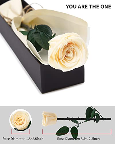 Champagne Flowers for Delivery Prime, Preserved Champagne Roses Flower Gifts for Women, Real Roses Single Rose Gifts for Her, Mom Birthday Gifts from Daughter, Valentines Flowers - color: 03-champagne