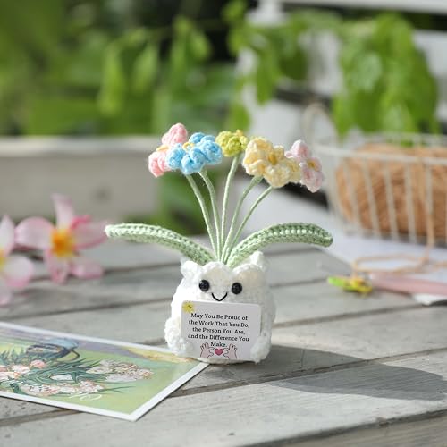 YOOJEE Forget-Me-Not Crochet Flower Potted Plant Gift - color: E-May You Proud of The Work That You Do