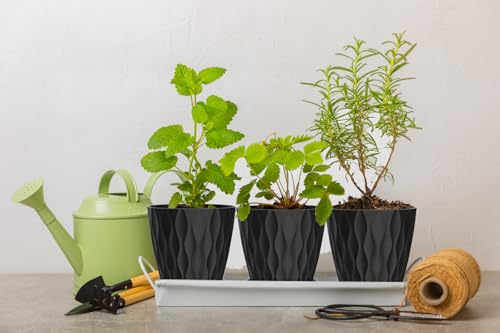 4 Inch Plant Pots, 6 Pack Indoor Flower Pots, Planters with Drainage Holes and Trays for Orchids, Violets, Succulents, Herbs, and Other Plants, Black - color: Black, size: 4inch