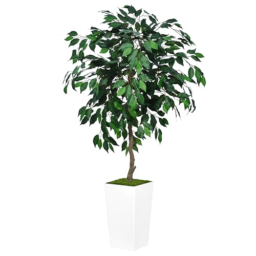 ASTIDY Artificial Ficus Tree 5FT - Faux Indoor Tree with White Tall Planter - Fake Ficus Floor Plant Potted - Artificial Silk Tree for Home Office Living Room Decor Indoor - color: White