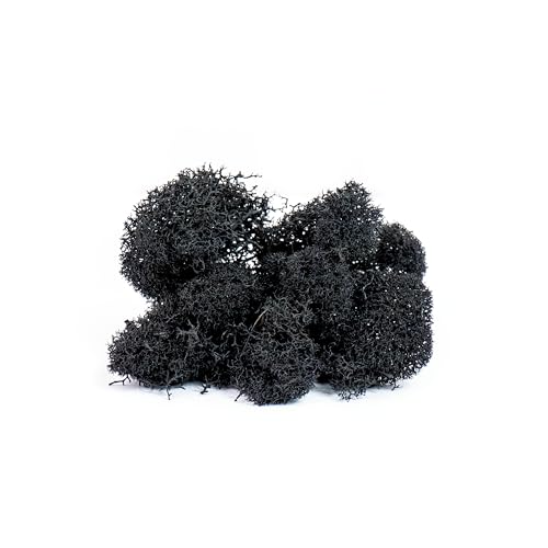 Super Moss (25123 Reindeer Moss Preserved, Black, 2oz - color: Black, size: 80.75 cubic inch (in3) Bag (Appx. 2oz)