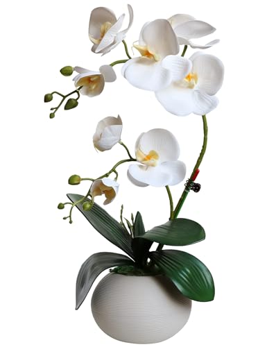 Forlaoers Tall 17" White Real Touch Orchid Artificial Flowers with Vase Fake Orchids Silk Floral for Home Decor Indoor Bathroom Decoration Potted Office Table Top Centerpieces Arrangements - color: A1:white Orchid With Vase