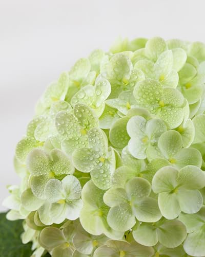 DuHouse 4Pcs Large Hydrangea Artificial Flowers,20 inch Latex Real Touch Hydrangeas Lifelike Hydrangea Flower for Home Wedding Bouquets Centerpieces Party Living Room Decoration(Light Green) - color: Light Green, size: 4pcs