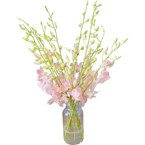 20 pink orchids fresh cut flowers gift birthday anniversary Valentine's Day flowers Dendrobium