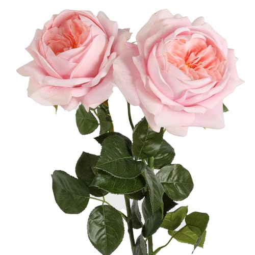 Real Touch Flowers, 2 Pcs 5.11" Pink Peonies Artificial Flowers with Stems, 25.60'' Fake Austin Roses Flowers with Long Stems for Bridal Bouquets Table Centerpiece Home Vase Decor (Pink) - color: Pink