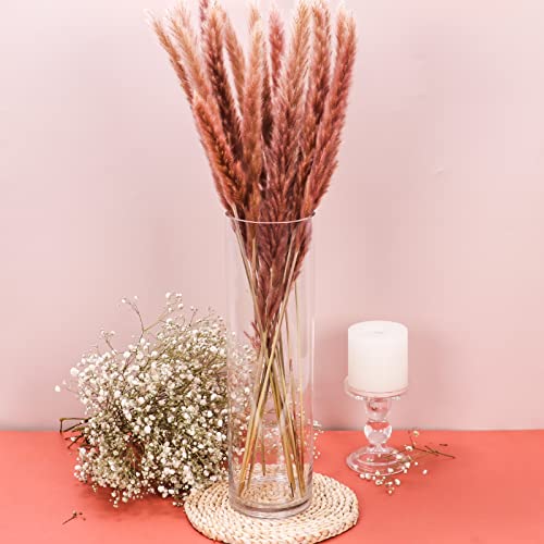 Glass Cylinder Vase 12 Inch High,Keketin Clear Glass Vases 3 Pack,Flower Vase for Table Centerpieces,Decor,Wedding Favors(4" W x 12" H) - size: 3pack-4"w x 12"h
