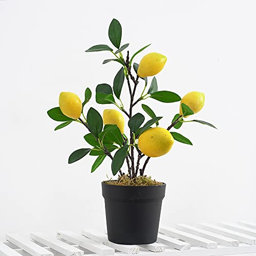 QTMY 2 Pack Artificial Mini Lemon Tree Potted Plants, Nearly Natural Fake Plant Lemon Decor for Kitchen, Indoor, Living Room, Bedroom