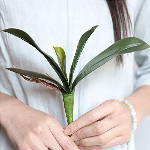 FagusHome 31" Artificial Silk Phalaenopsis Flowers 3 Pcs with 2 Bundles Leaves Artificial Orchid Flowers Stem Plants in Fake Butterfly Phalaenopsis Flowers for Home Wedding Party Décor (White)