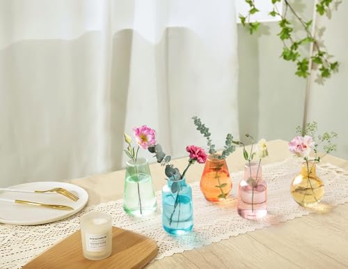 Mkono Propagation Vases for Plants, Set of 5 Small Glass Jar Planters for Hydroponic Cutting Flowers, Plant Station Bud Vases for Centerpieces Home Office Decor Gift, Colorful (Plants not Included) - color: Colorful