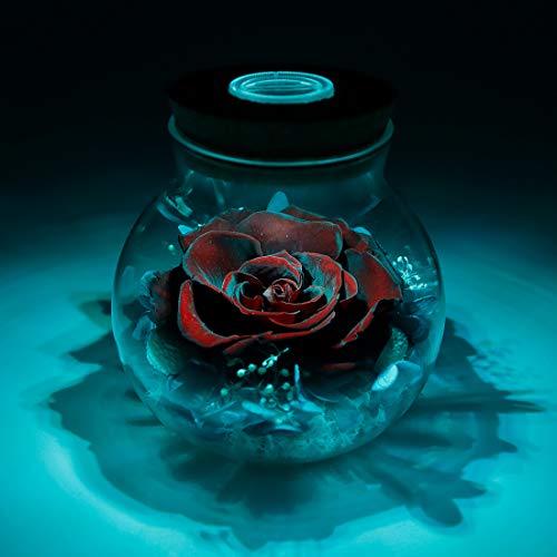 Preserved Real Roses with Colorful Mood Light Wishing Bottle,Eternal Rose，Never Withered Flowers,for Bedroom Party Table Decor, Anniversary,Valentine's,Mother's Day,a Gifts for Women (Burgundy) - color: Burgundy