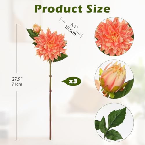 Artificial Dahlia Flowers – Set of 3 | 27.9" Tall Real-Touch Silk Dahlia Stems with Large 6.1" Blooms | Lifelike Peach Faux Flowers for Home Decor, Wedding, Centerpieces & Floral Arrangements - color: Peach