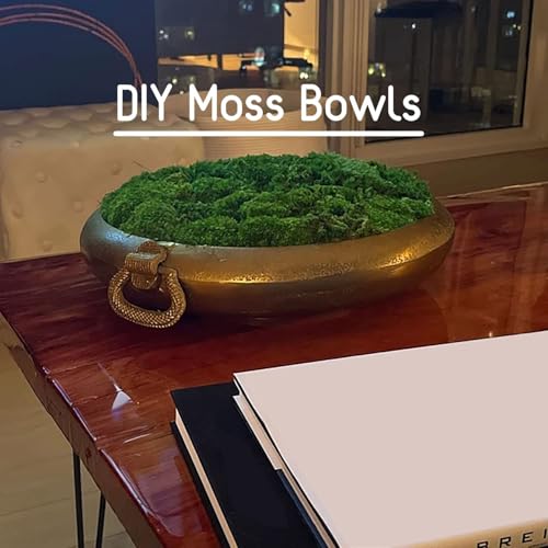 Preserved Pole Moss Pillow Bun Cushion Natural Green Decorative Real Natural DIY Kit Gardenning Art Wall Decor Florist Easter Table Decor Wedding(1.5 sq.ft, Green-C) - color: Green-c, size: 1.5 sq.ft.