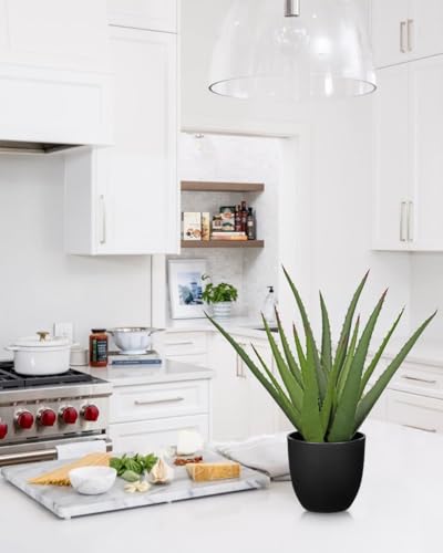 GnFlus Large Fake Succulent Aloe Vera Plants 16.7 Inch Artificial Succulents with Black Pot Faux Aloe Potted Plant for Desk Modern Home Office Bedroom Living Room Table Shelf Decor - color: Black-16.7"
