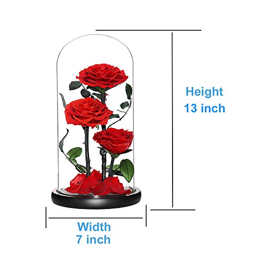 Perfectione Roses Handmade Preserved Rose in Glass Dome, Red Roses, Birthday Gifts for Women - color: Red, size: X-Large