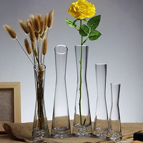 9.8 Inches Clear Glass Tall Bud Vase Single Stem Vases Minimalist Modern Flower Bud-Vase with Round Slanted Mouth for Tabletop Decoration Wedding Centerpiece Ornament