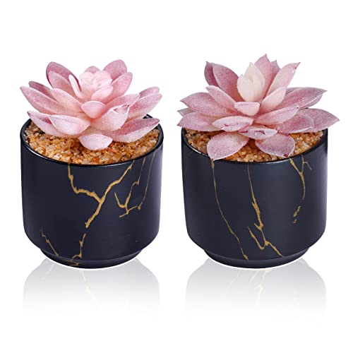 ZENIDA Succulent Artificial Plants,Cute Fake Succulents in 2 Black Ceramic Pots,Small Fake Plants for Office,Table,Desk,Bathroom, Bedroom,Aesthetic Room Shelves Decor,Desk Decorations for Women Office - color: Black