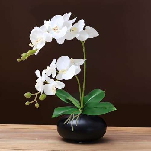 2 Branches Artificial White Phaleanopsis Flowers Faux Orchids Stems Leaves Plants for Home Bonsai Garden Decoration (White)