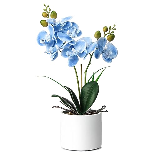 Jusdreen Artificial Blue Orchid in Ceramic Pot, Realistic Phalaenopsis Arrangement with Potting for Home Office Table Decor, 14.5 Inch Flower Centerpiece - color: Z/Ceramic-blue