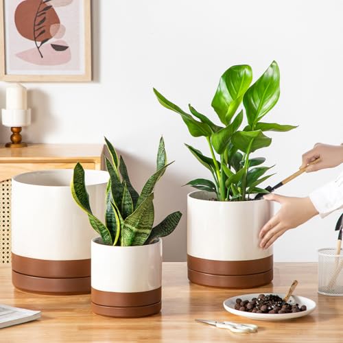 vancasso Ceramic Pots for Plants, Plant Pots for Indoor Plants, 6.25+8.25+10.25 Inch Ceramic Planters, Flower Pots with Drainage Holes, Planters Pot for Indoor House Plant, Set of 3, Khaki - color: Reactive Glaze White, size: 6.25 + 8.25 + 10.25 Inch