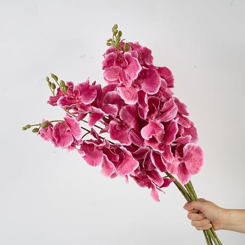 6 PCS Artificial Orchid Stems 33.5" Tall 9 Large Petals Fake Fuchsia Phalaenopsis Flower Arrangements for Home Wedding Living Room Table Centerpiece Office Table Decor Fuchsia - color: Fuchsia（6pcs）