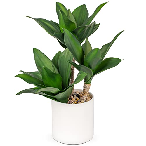 Hollyone Large Artificial Agave Plants Fake Three-Head Agave Succulent Plant Potted 15" Faux Plant in White Pot Succulent Aloe Plant Indoor for Desk Modern Home Decor - color: Style 2