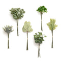 Ling's moment Artificial Greenery Stems Box Set, Faux Greenery Picks for DIY Bridal Bouquets Wedding Floral Arrangement Table Centerpieces, Jade & Kiwi Colada - color: Greenery Combo- Jade & Kiwi Colada