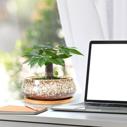ARTKETTY Succulent Pots - 8 Inch Plant Pot, Large Bonsai Pots with Drainage Tray, Ceramic Planters for Indoor Outdoor Plants, Round Shallow Cactus Flower Plant Container Bowl Decorative Home Garden - color: White
