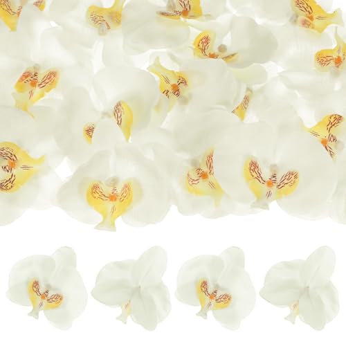 M METERXITY 20-Pack Artificial Orchid Flower Heads, Silk Faux Butterfly Flowers Head for Wedding/Bouquet/Bridal/Party Decor, Fake Phalaenopsis Petals Bulk [3.54 Inch, White Yellow] - color: White Yellow, size: 3.54 Inch
