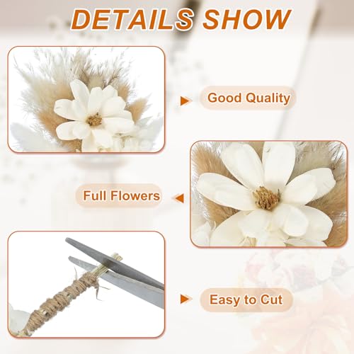 PATIKIL Mini Dried Flower Bouquet, 6 Pcs Pampas Grass Natural Wildflower with Stem Decor Baby's Breath Boho Floral Plant Flower for Crafts DIY Photo Props Gift Wedding Decor, White - color: White