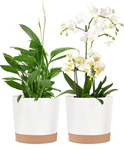kubvici 2 Pack 8 Inch Planters for Indoor Plants, Plastic Flower Pots Plant Pots Indoor with Drainage Saucer for Outdoor Garden Home Plant, White 8” - color: White, size: 8 inch